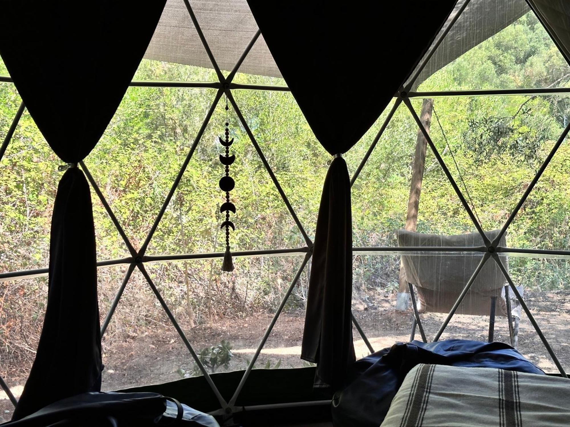 Dome 4