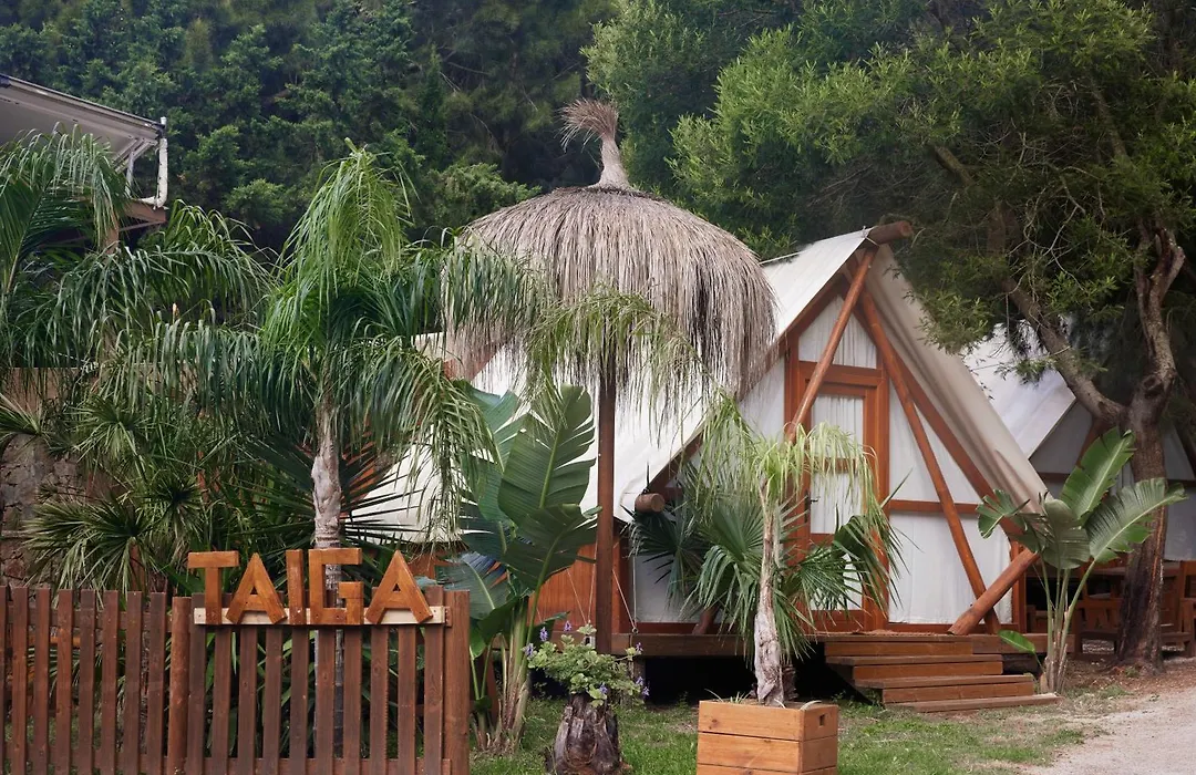 Taiga Tarifa Punta Paloma-1