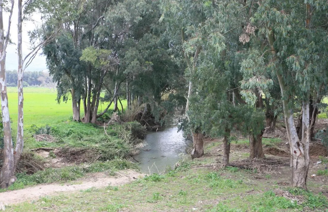 Molino El Mastral-1